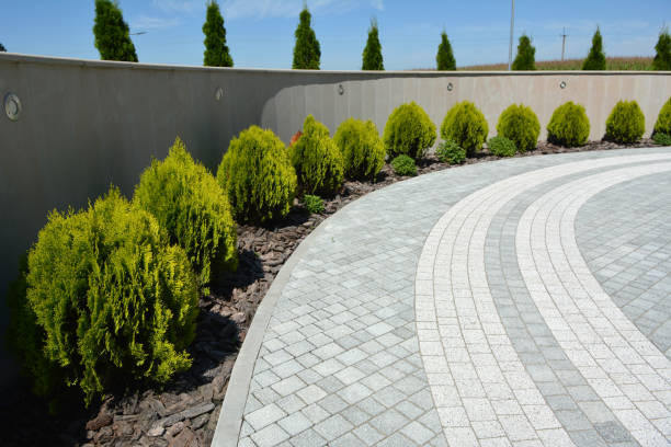 Best Luxury Driveway Paving Solutions in Grizzly Flats, CA